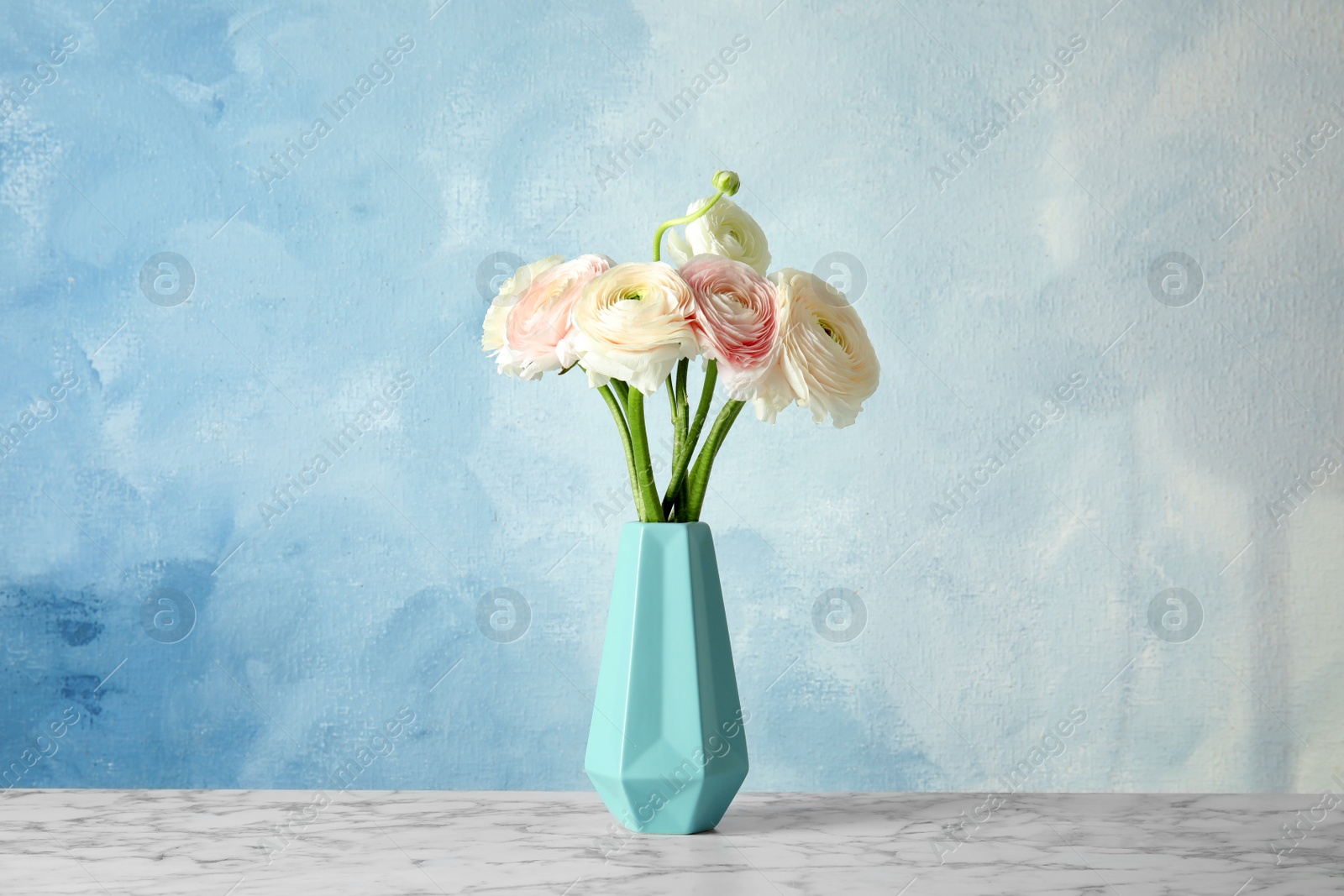 Photo of Vase with beautiful ranunculus flowers on table against color background