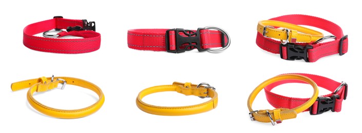 Image of Set with yellow and red leather dog collars on white background. Banner design