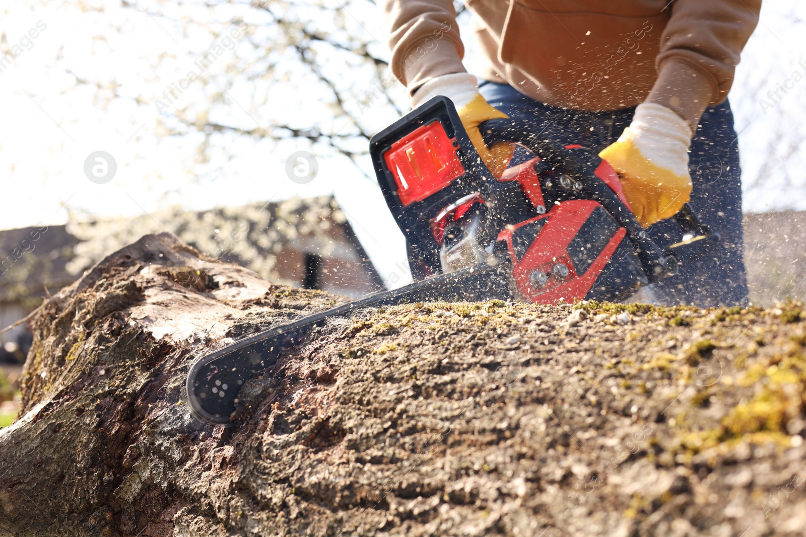 Photo of Man sawing wooden log on sunny day, closeup