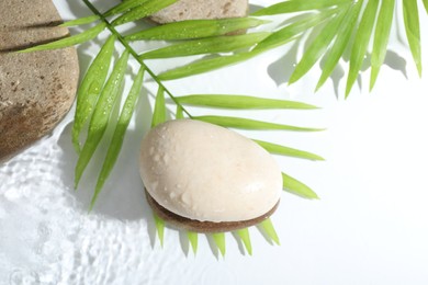 Photo of Spa stones and palm leaves in water on white background