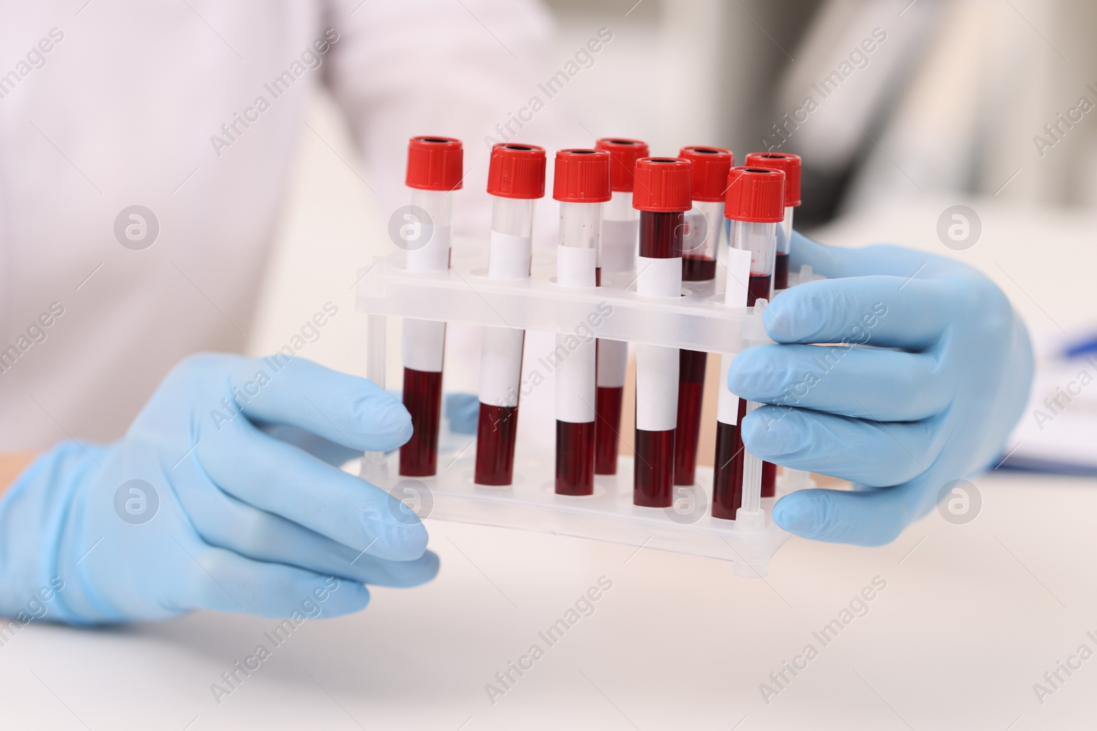 Photo of Doctor with samples of blood in test tubes at white table, closeup