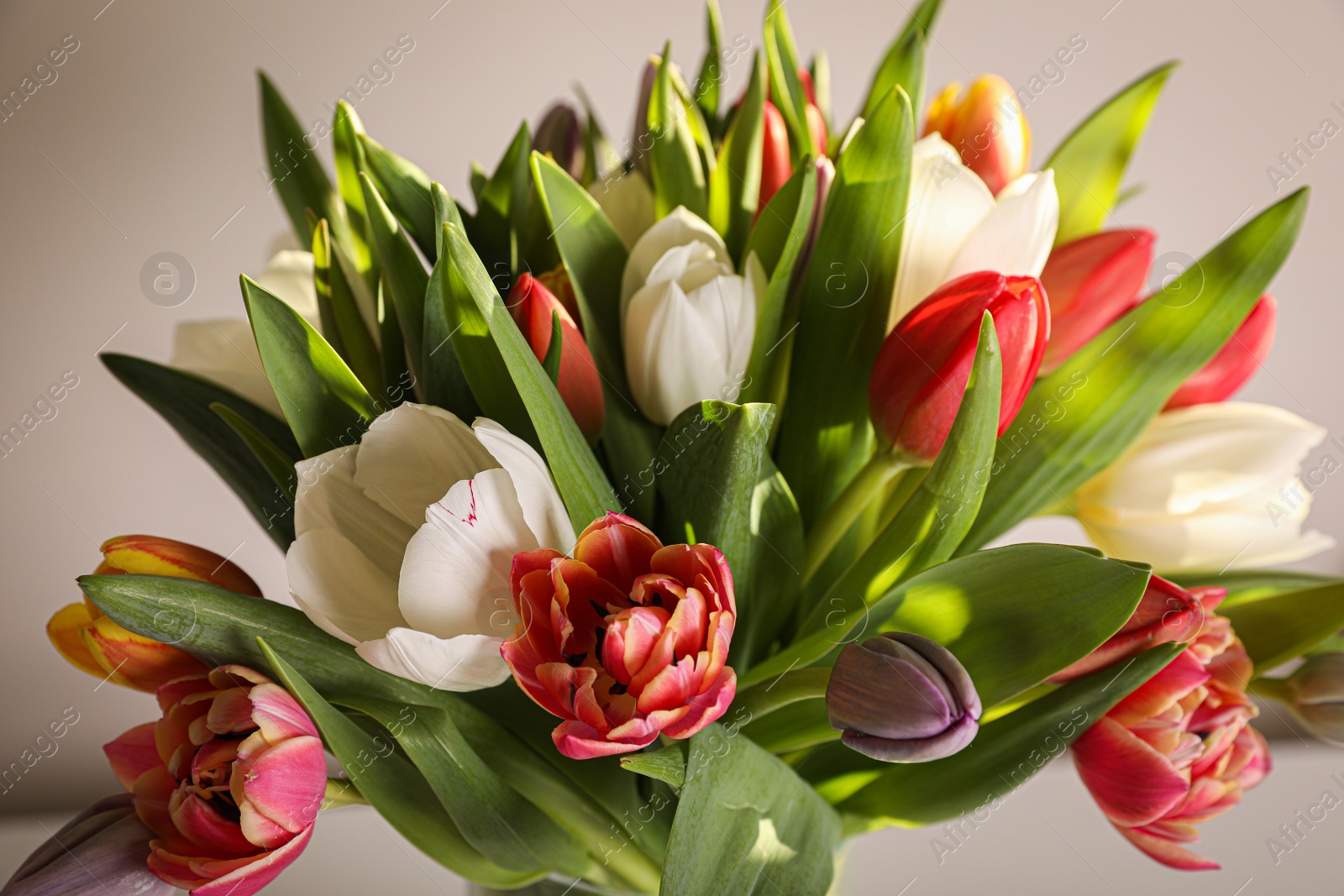 Photo of Beautiful bouquet of colorful tulips on beige background, closeup