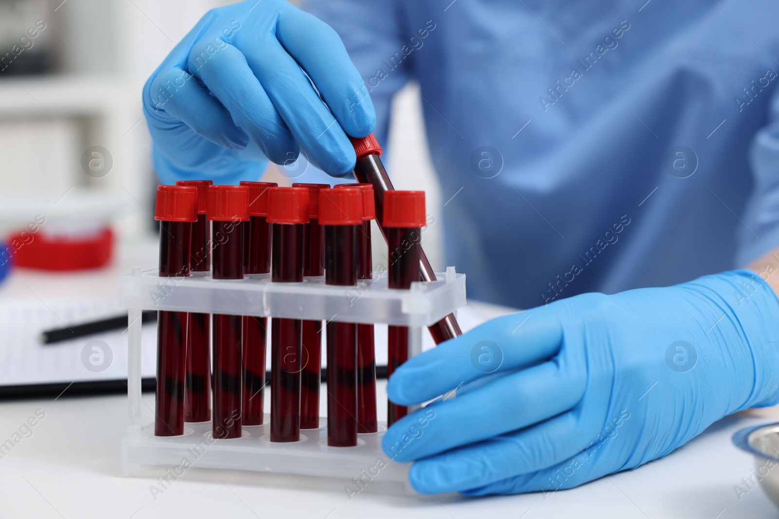 Photo of Laboratory testing. Doctor with blood samples in tubes at white table indoors, closeup