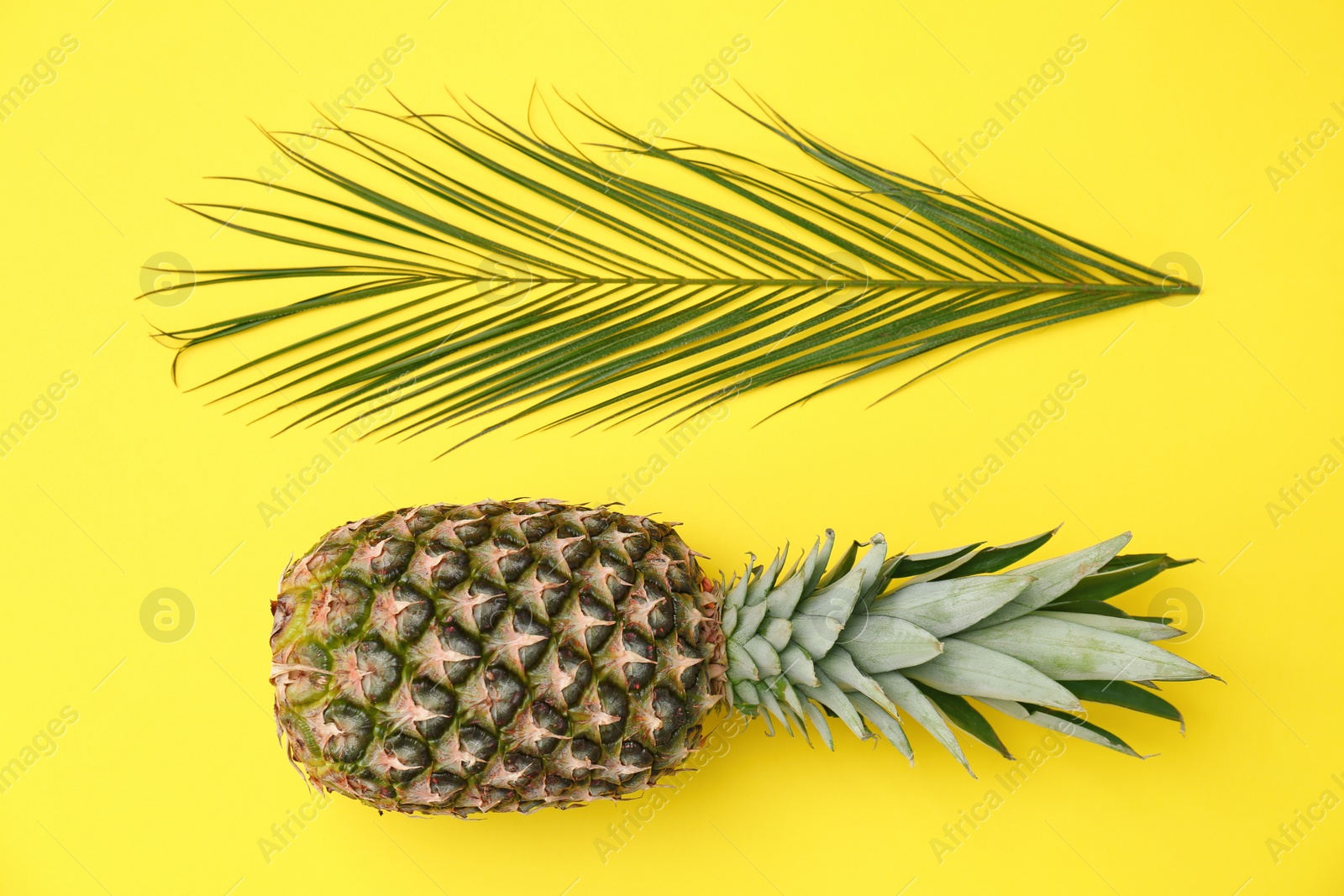 Photo of Fresh pineapple on color background, flat lay