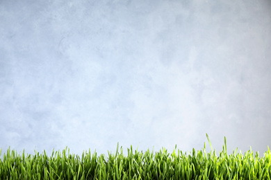 Fresh green grass on light background, space for text. Spring season