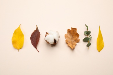 Flat lay composition with autumn leaves on light background