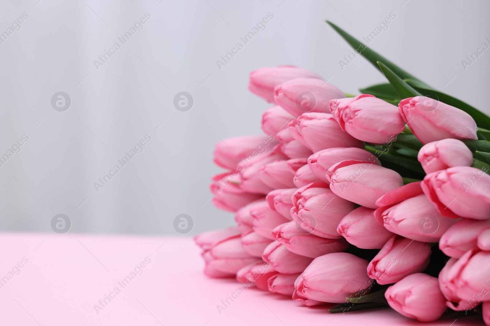 Photo of Bouquet of beautiful tulips on pink background, closeup. Space for text