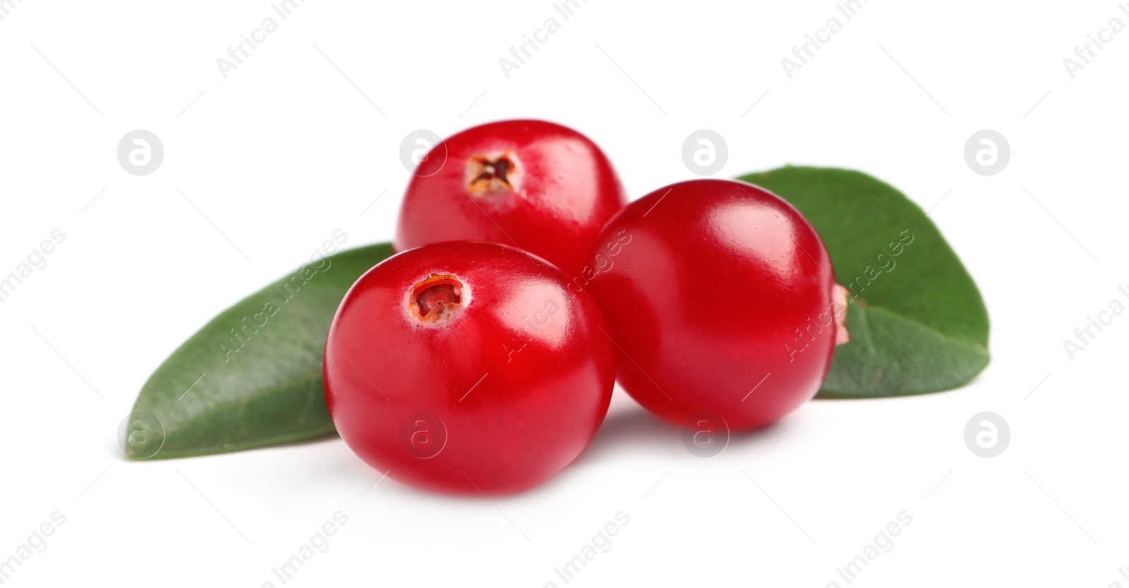 Photo of Fresh cranberries with green leaves on white background