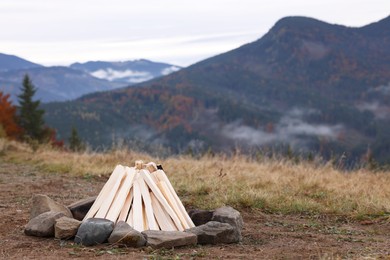 Photo of Dry wood for bonfire in mountains. Camping season