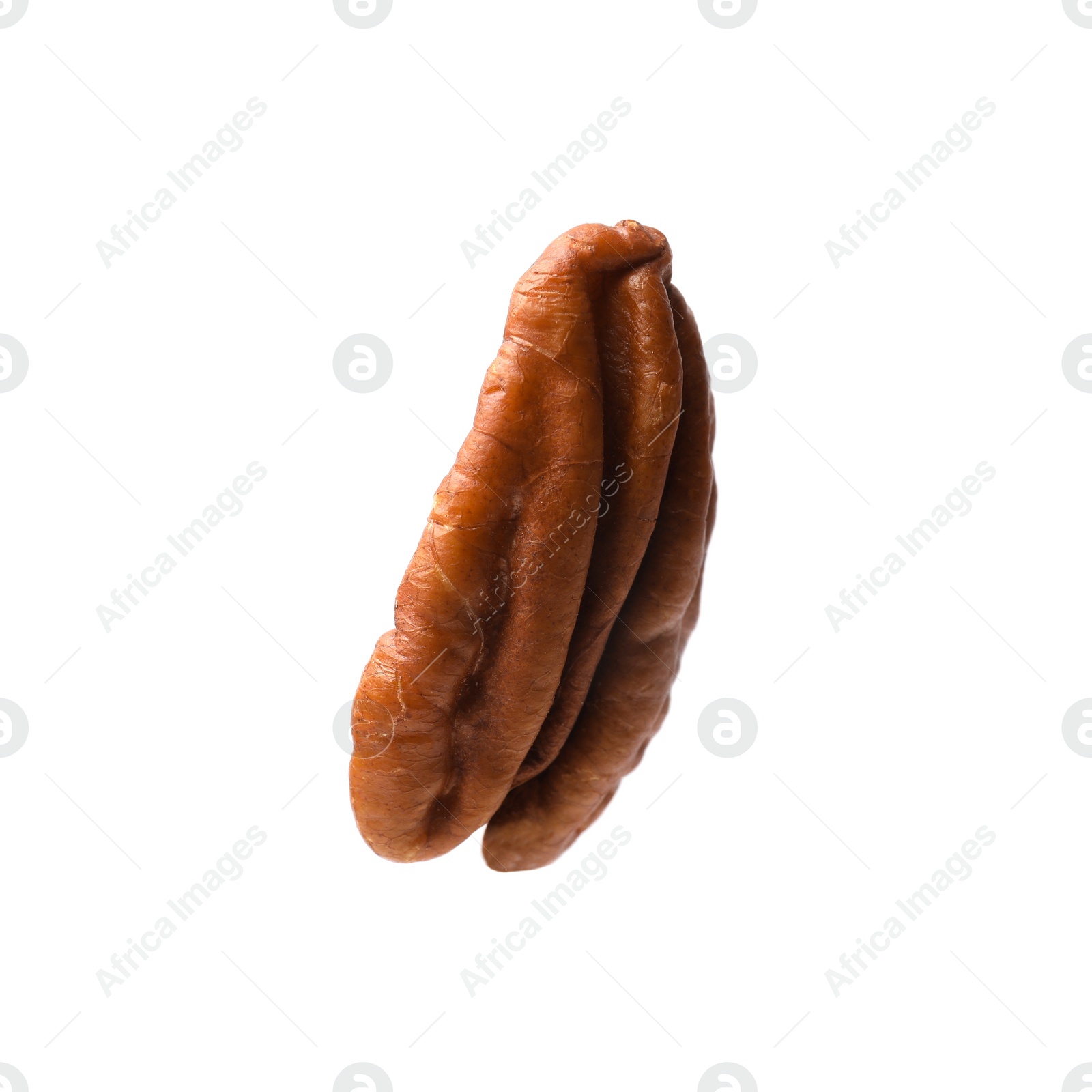 Photo of One tasty pecan nut isolated on white