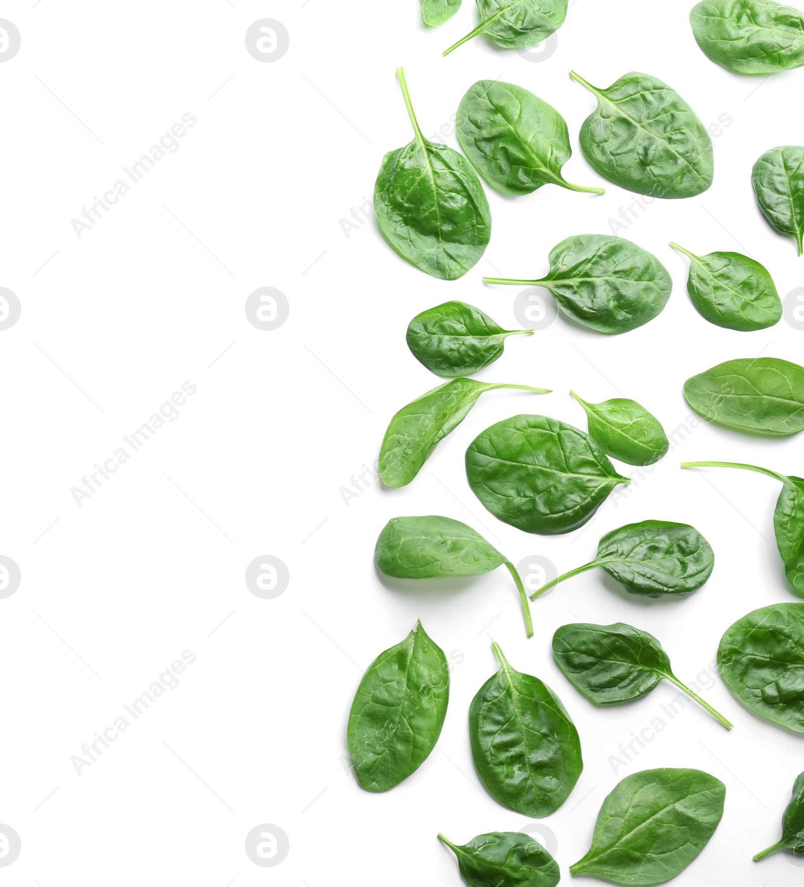 Photo of Fresh green healthy baby spinach leaves on white background, top view