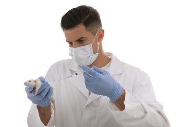 Photo of Scientist with syringe and rat on white background. Animal testing