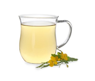 Photo of Glass cup of aromatic celandine tea and flowers on white background