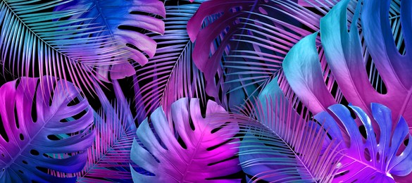 Image of Tropical leaves in neon colors on black background, banner design