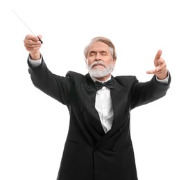 Professional conductor with baton on white background