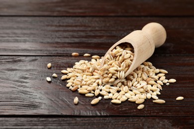 Scoop with dry pearl barley on wooden table, closeup. Space for text