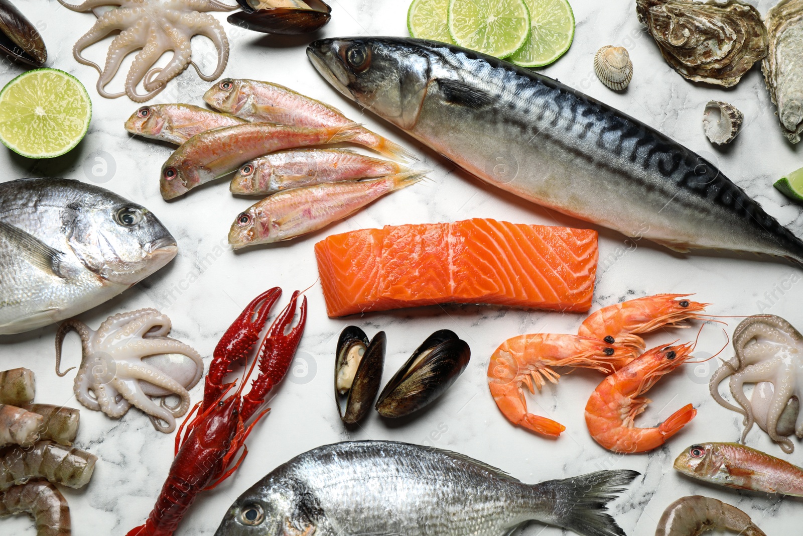 Photo of Fresh fish and different seafood on white marble table, flat lay