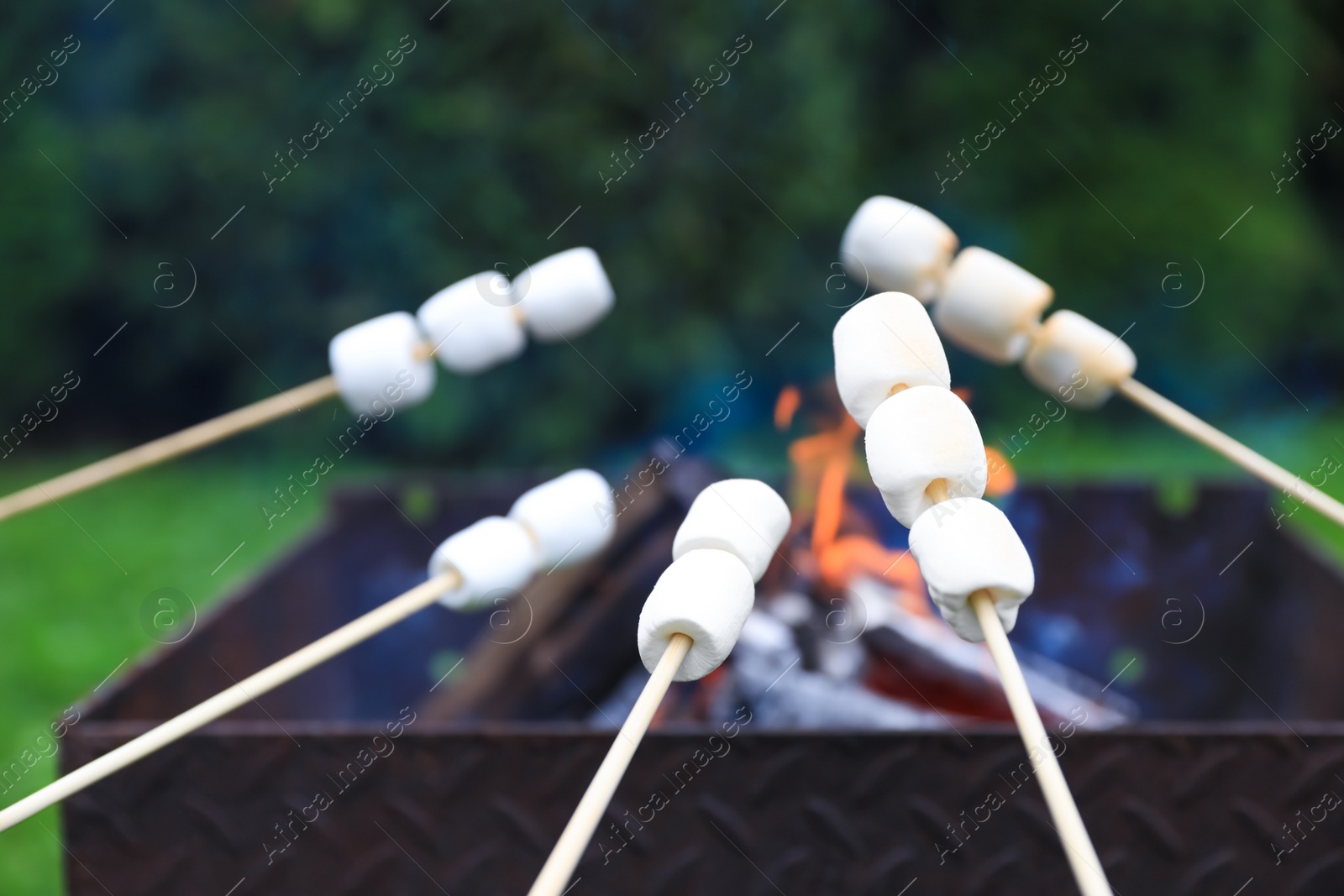 Photo of Delicious puffy marshmallows roasting over bonfire, closeup