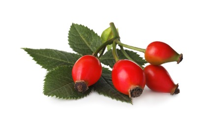 Photo of Ripe rose hip berries with leaves on white background