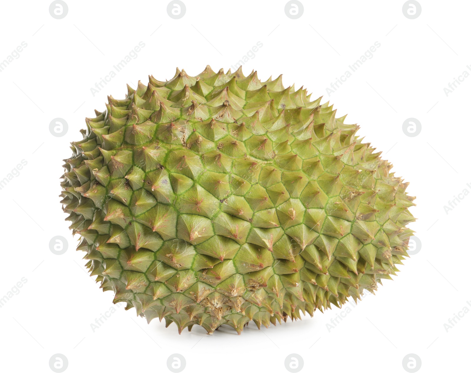 Photo of One whole ripe durian isolated on white