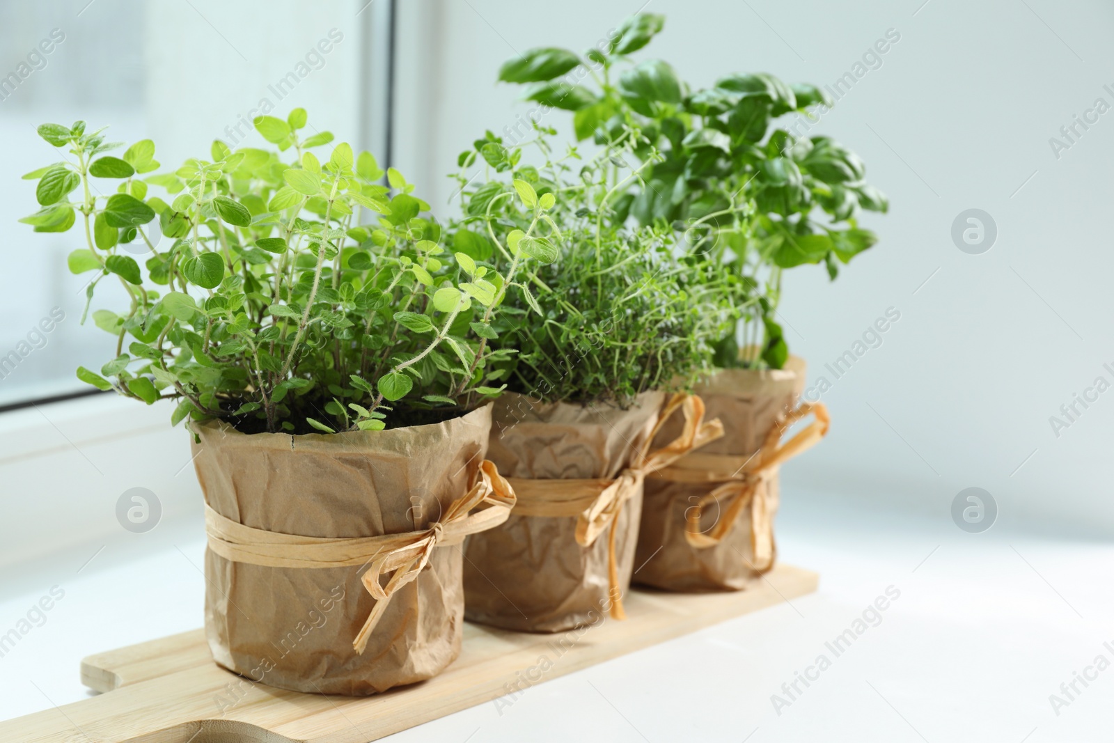 Photo of Different fresh potted herbs on windowsill indoors