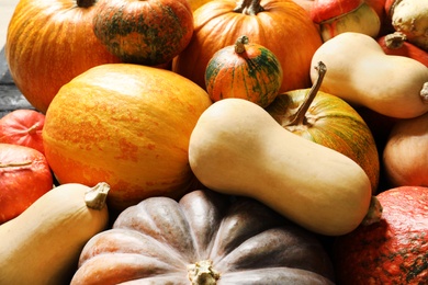 Many different pumpkins as background, closeup. Autumn holidays