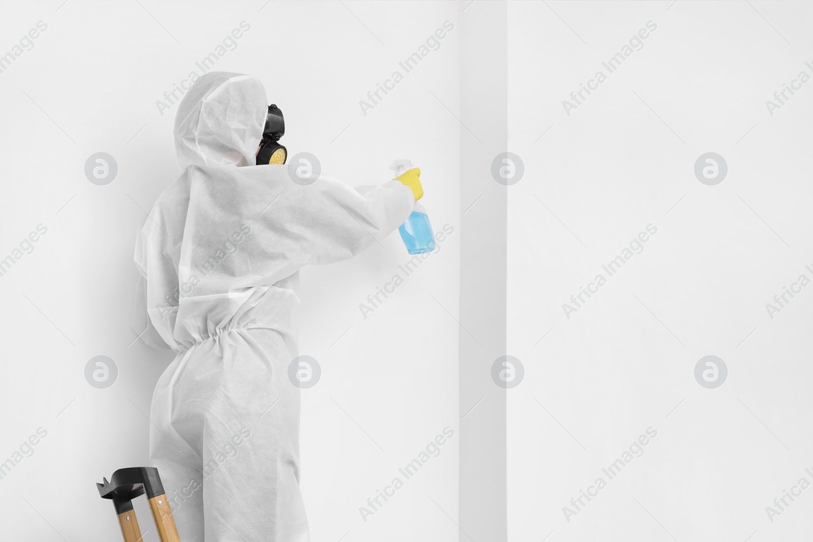 Photo of Woman in protective suit cleaning mold with sprayer on wall indoors. Space for text