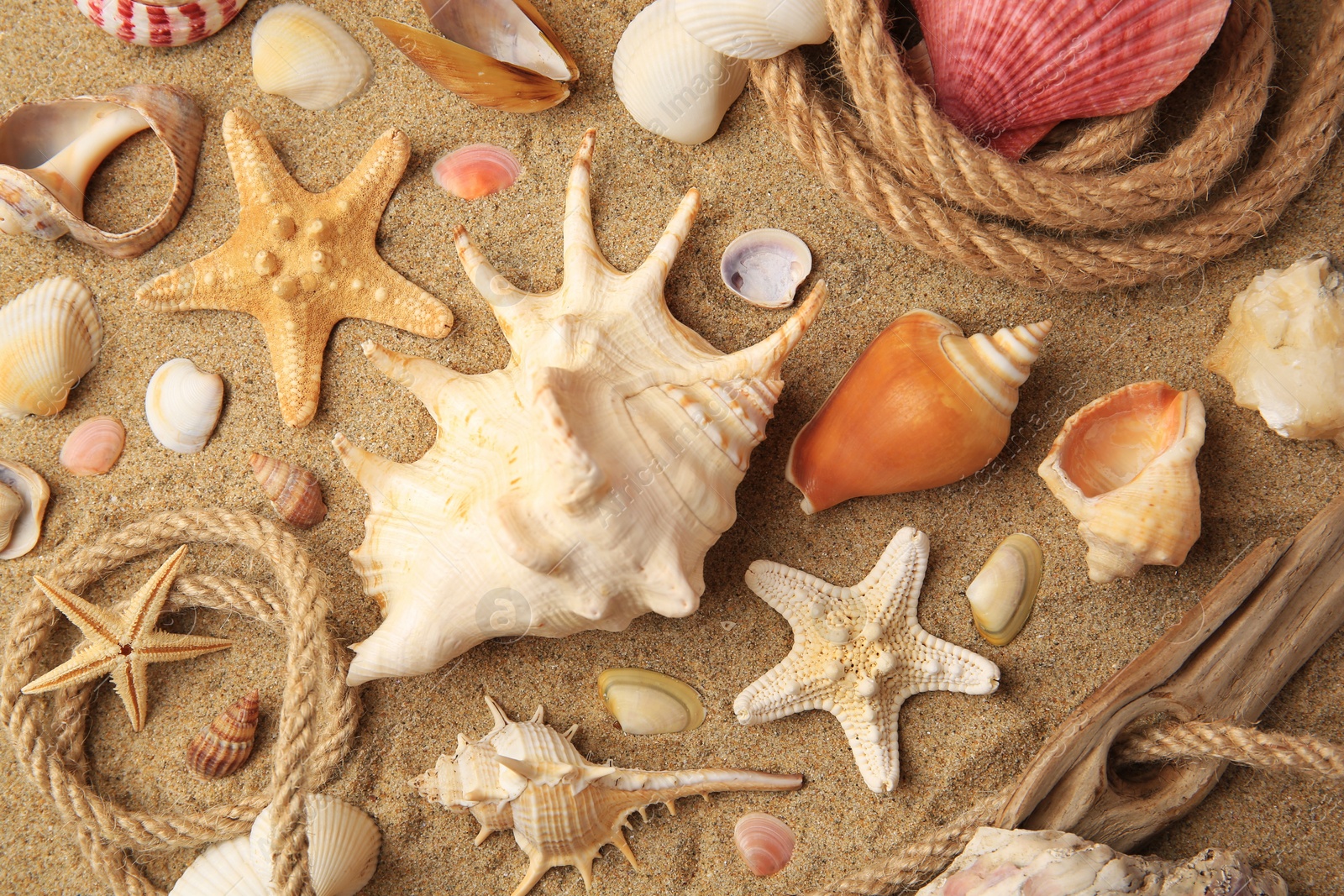 Photo of Beautiful sea stars, shells and ropes on sand, flat lay