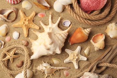 Beautiful sea stars, shells and ropes on sand, flat lay