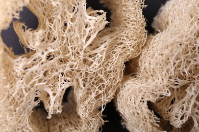 Photo of Natural loofah sponges as background, closeup view