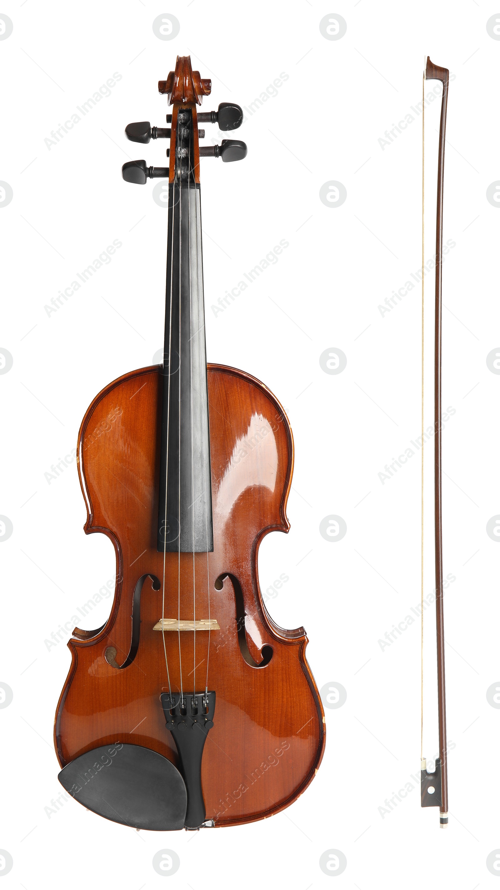 Image of Beautiful classic violin and bow on white background