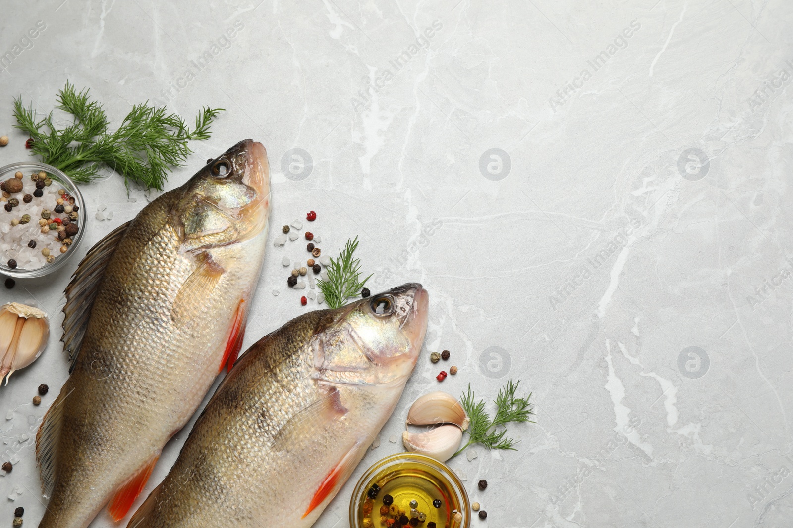 Photo of Fresh raw perches and ingredients on light grey 
 marble table, flat lay with space for text. River fish