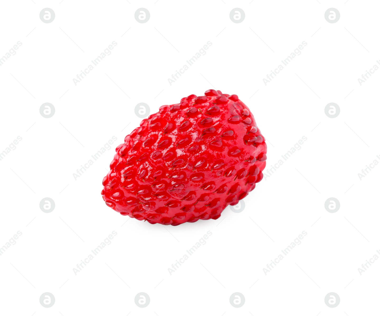 Photo of One ripe wild strawberry isolated on white