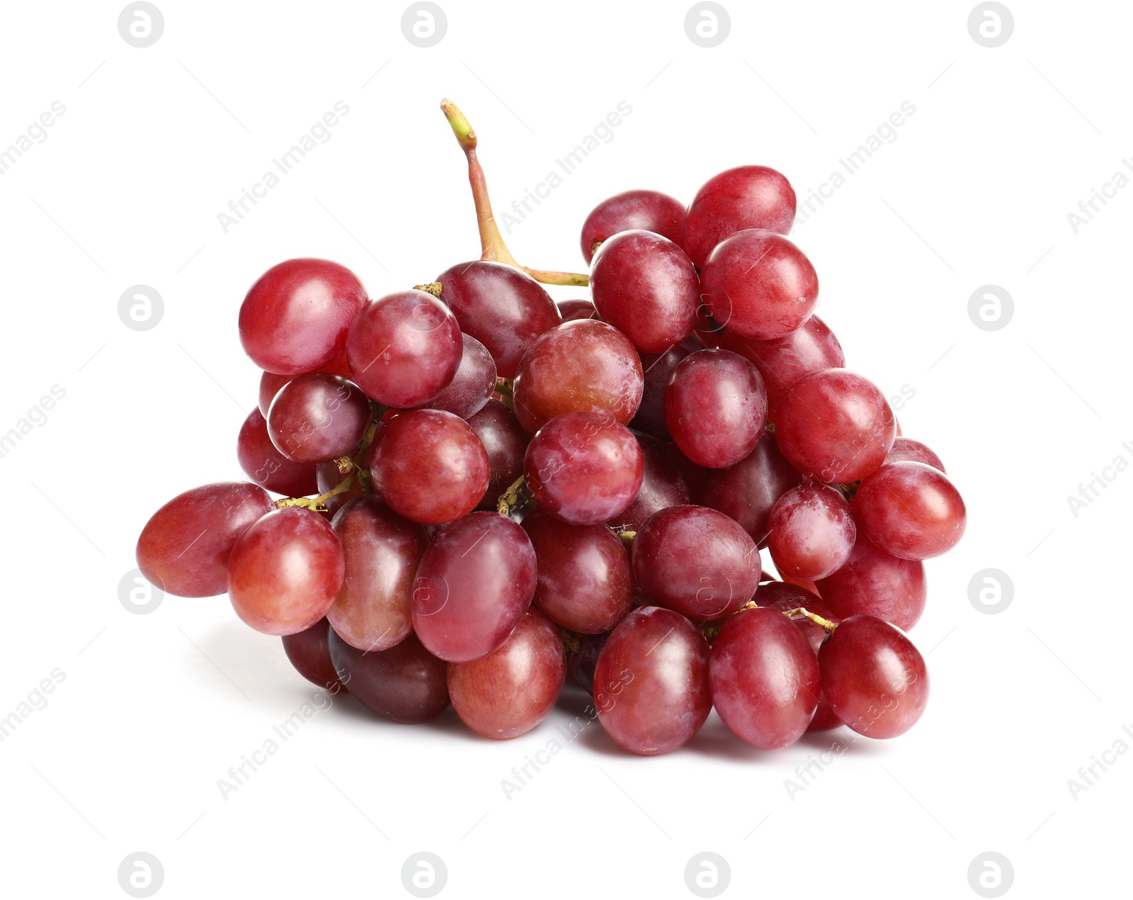 Photo of Bunch of red fresh ripe juicy grapes isolated on white