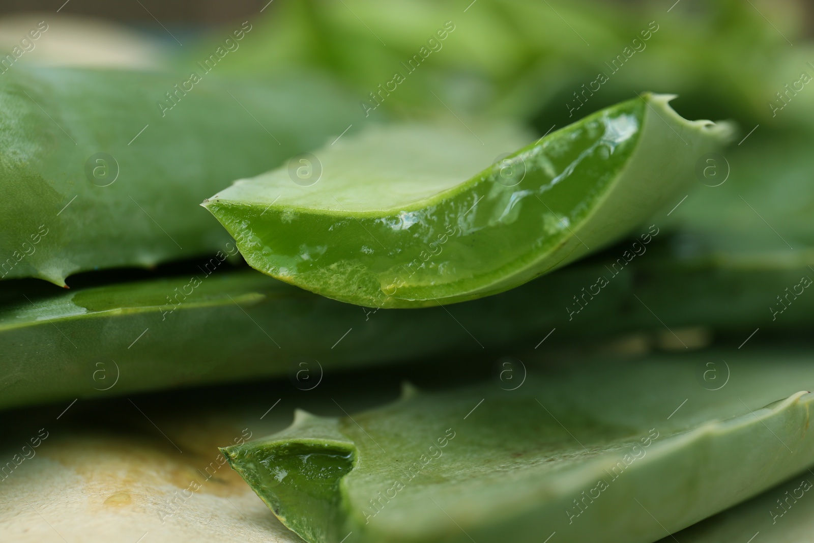 Photo of Fresh cut juicy aloe vera leaves on table, closeup