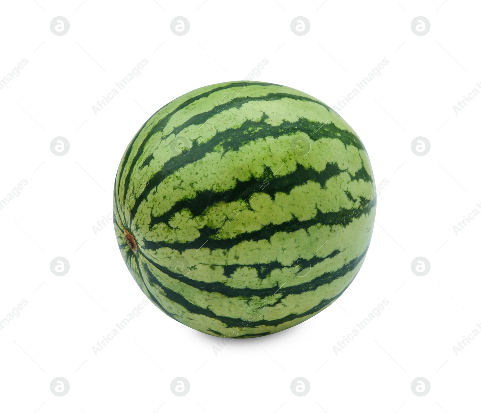 Photo of One whole ripe watermelon isolated on white