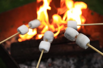 Delicious puffy marshmallows roasting over bonfire, closeup. Space for text