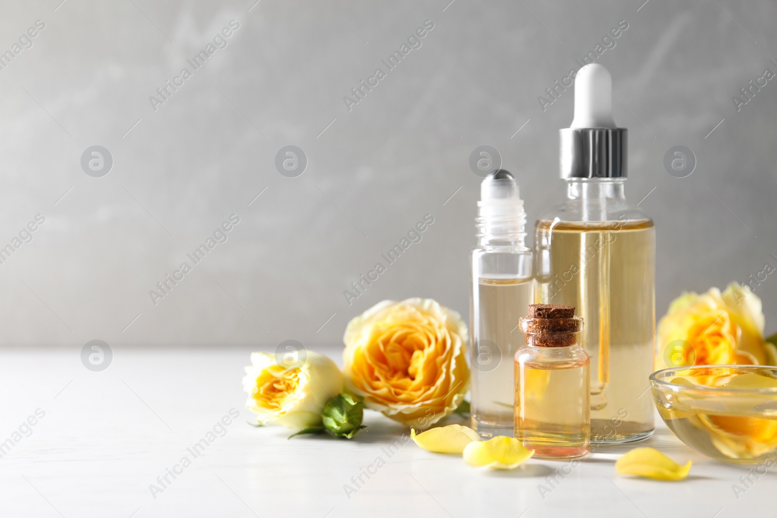 Photo of Bottles of rose essential oil and fresh flowers on table, space for text