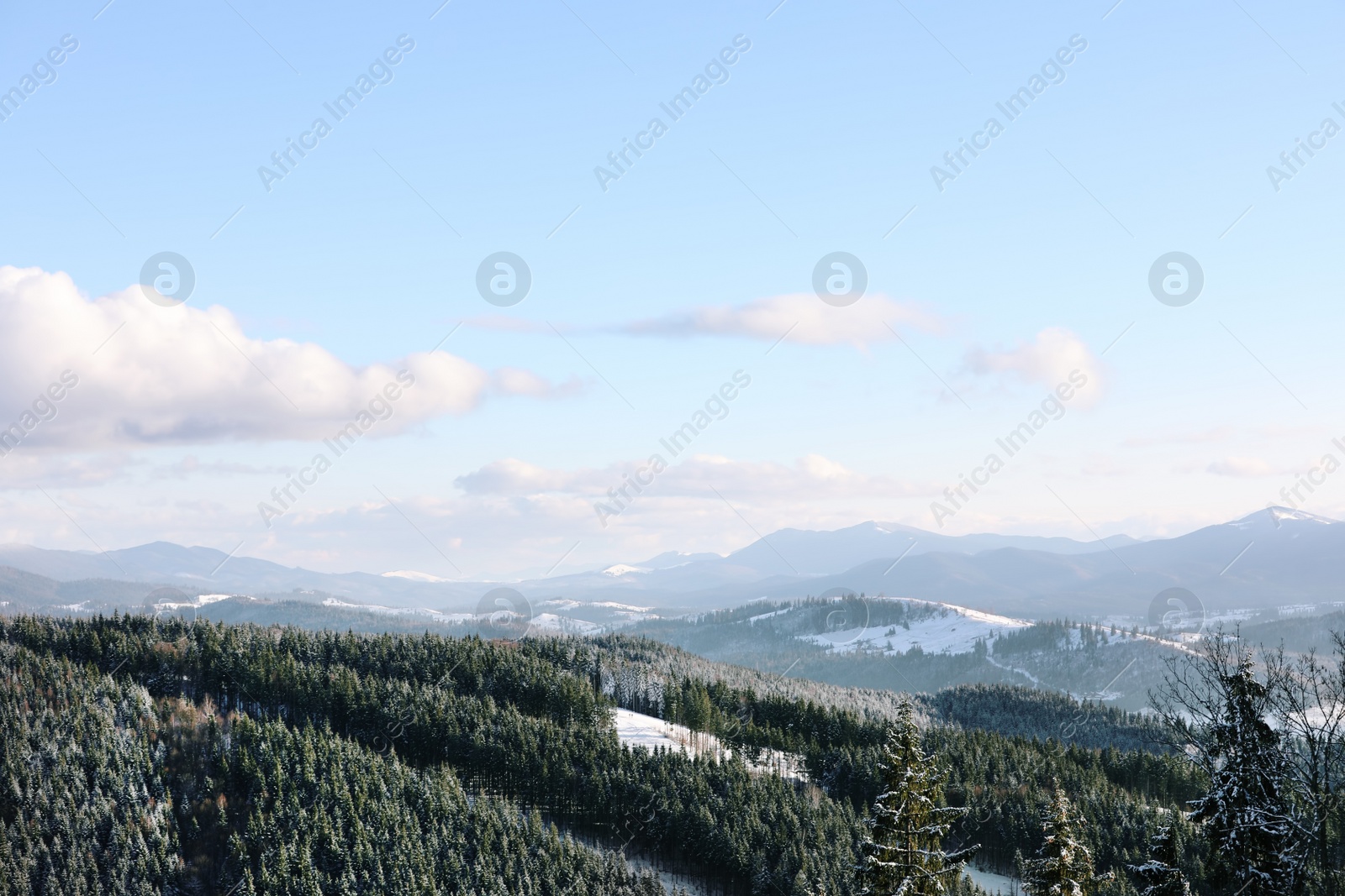 Photo of Beautiful mountain landscape with forest on sunny day in winter