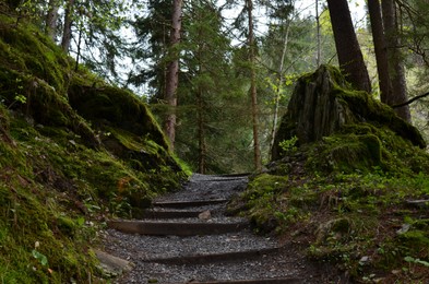 Photo of Beautiful view of stairs among trees and moss on ground in forest