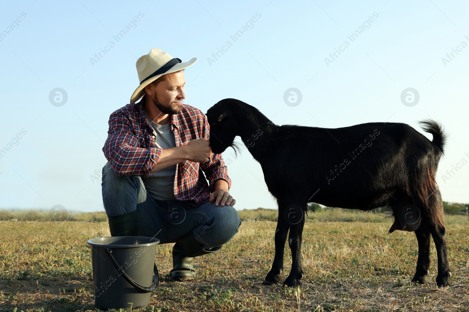 Photo of Man with goat at farm. Animal husbandry