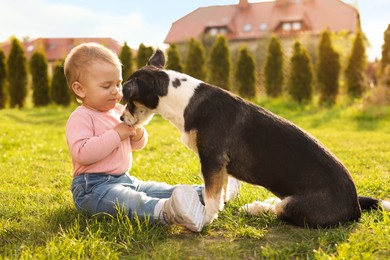 Adorable baby and furry little dog on green grass outdoors
