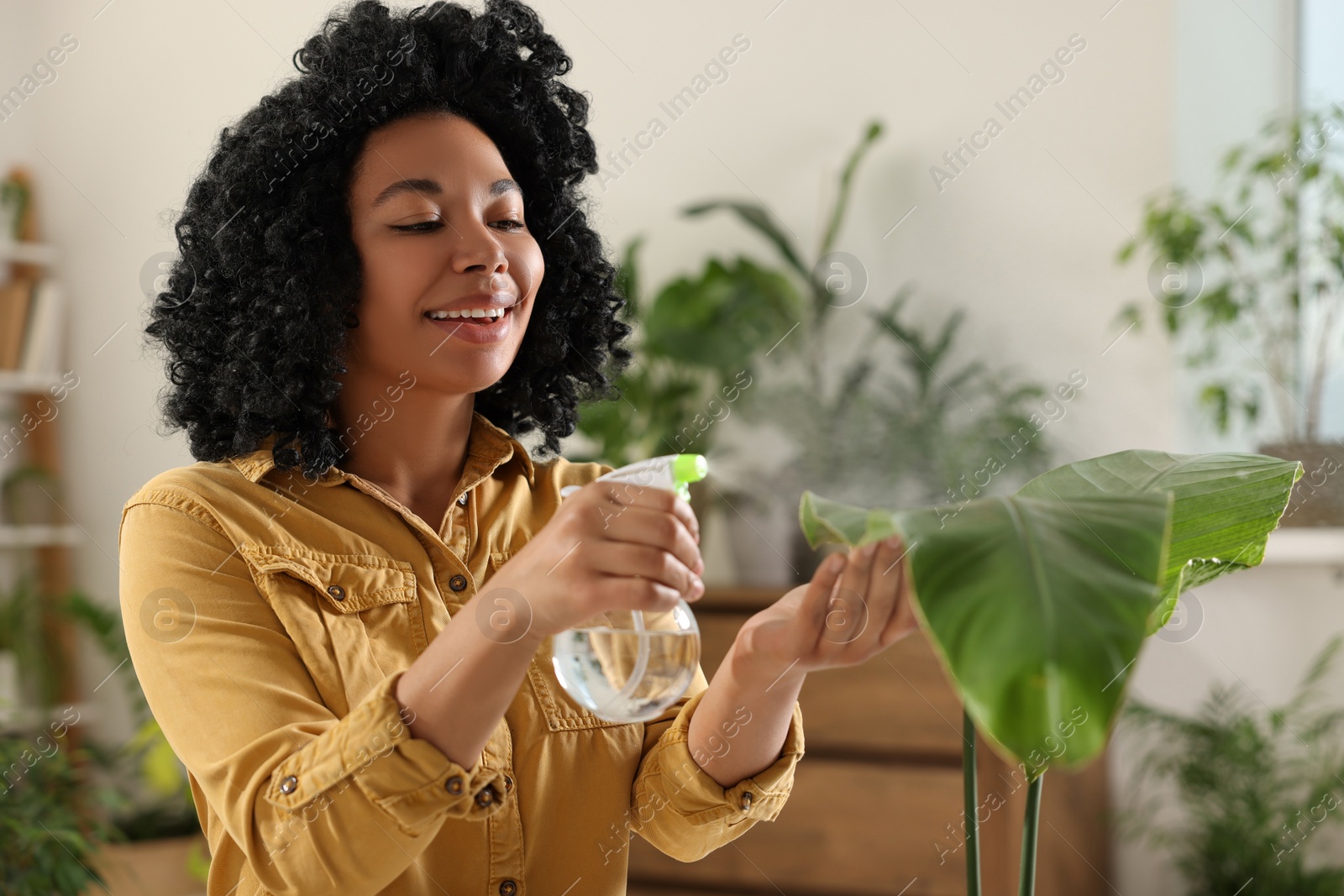 Photo of Happy woman spraying beautiful houseplant leaves with water indoors