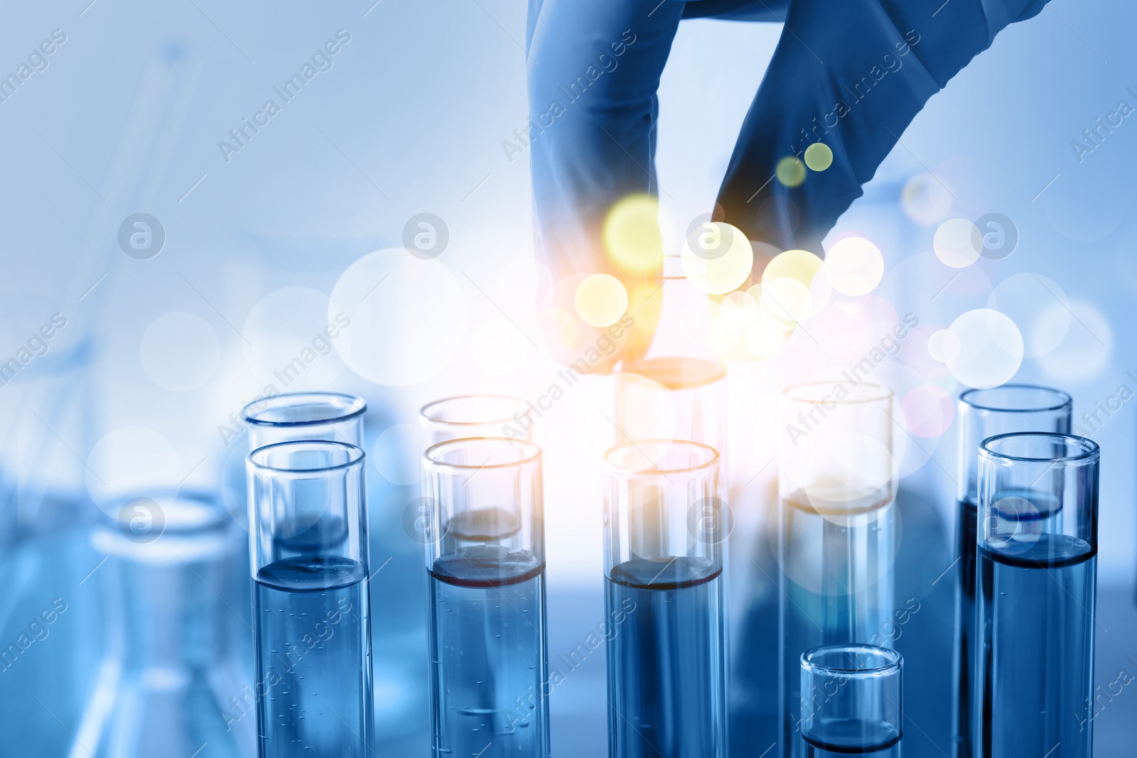 Image of Laboratory worker taking working test tube, closeup