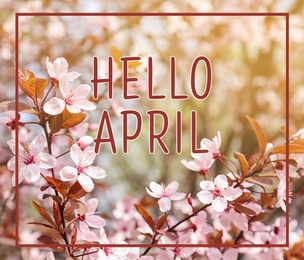 Image of Hello April. Beautiful blossoming tree outdoors, closeup