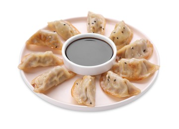 Photo of Delicious gyoza (asian dumplings) and soy sauce isolated on white