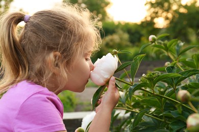 Cute little girl sniffing blooming peony outdoors