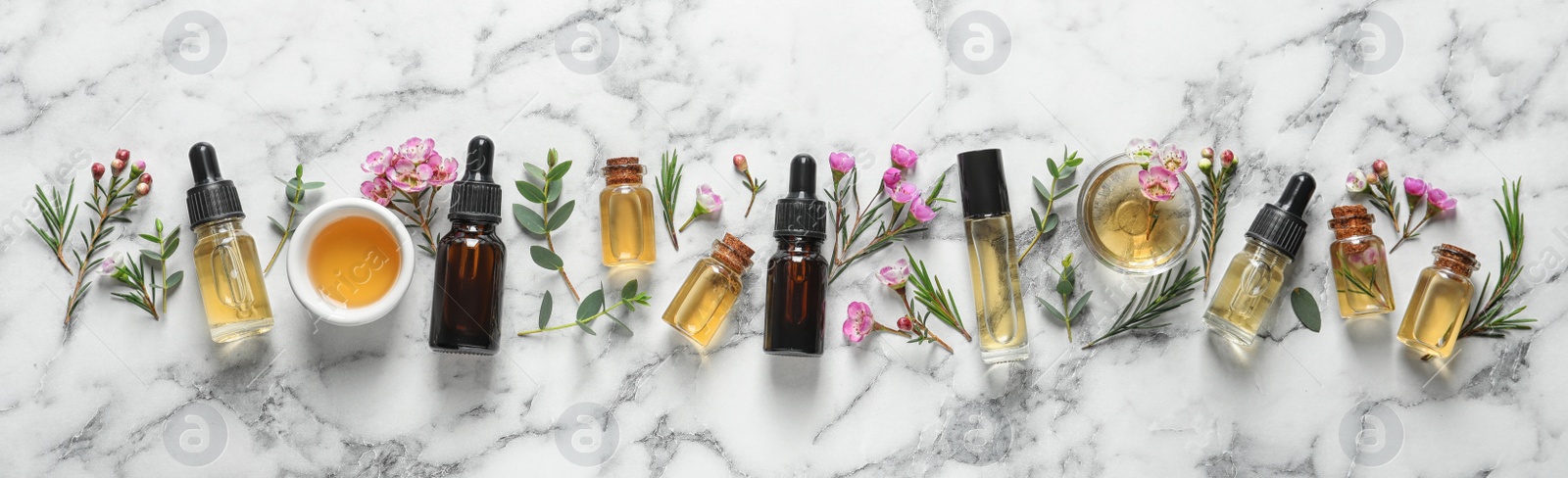Photo of Flat lay composition with bottles of natural tea tree oil and space for text on white marble background
