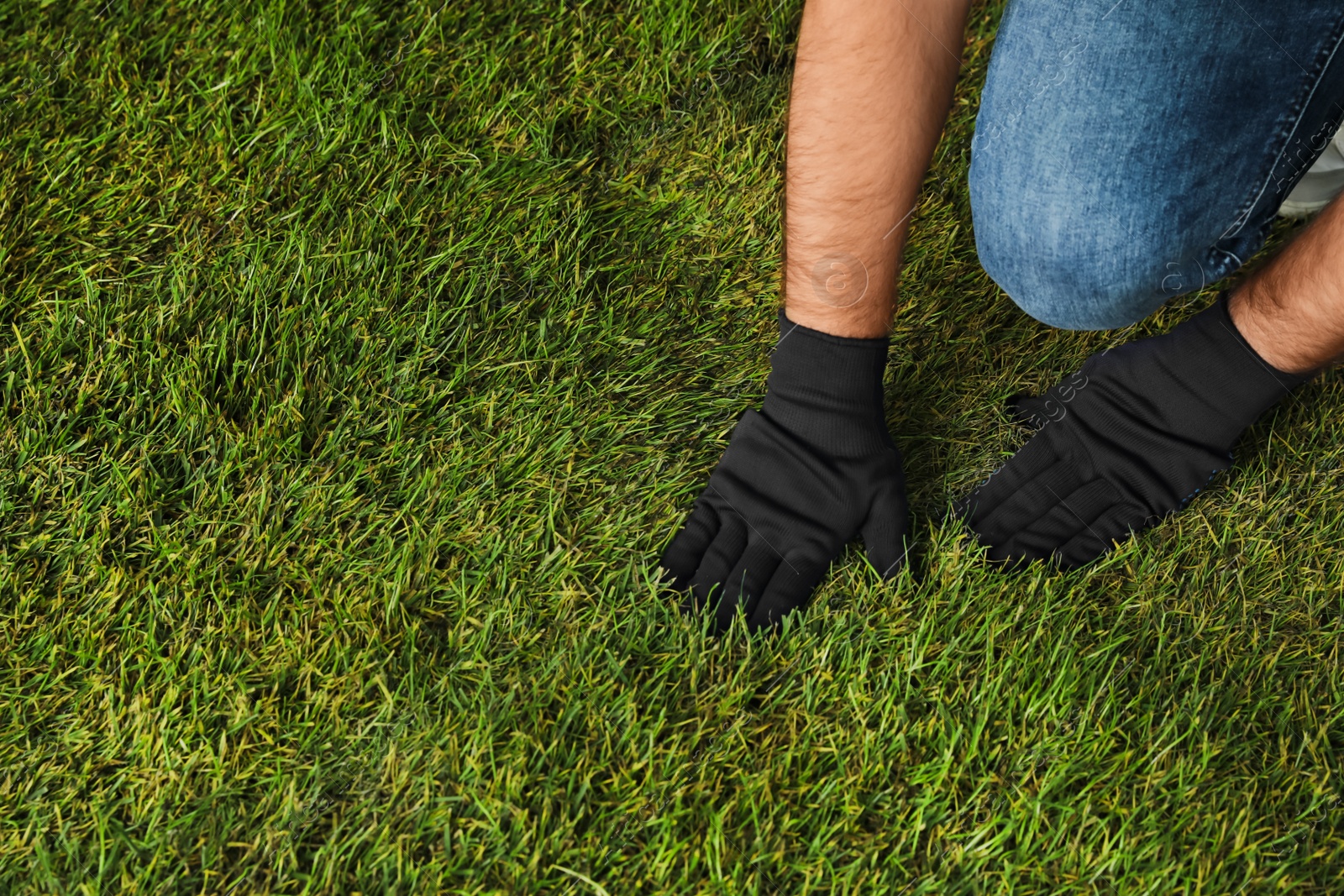 Photo of Young man laying grass sod in garden, closeup. Space for text