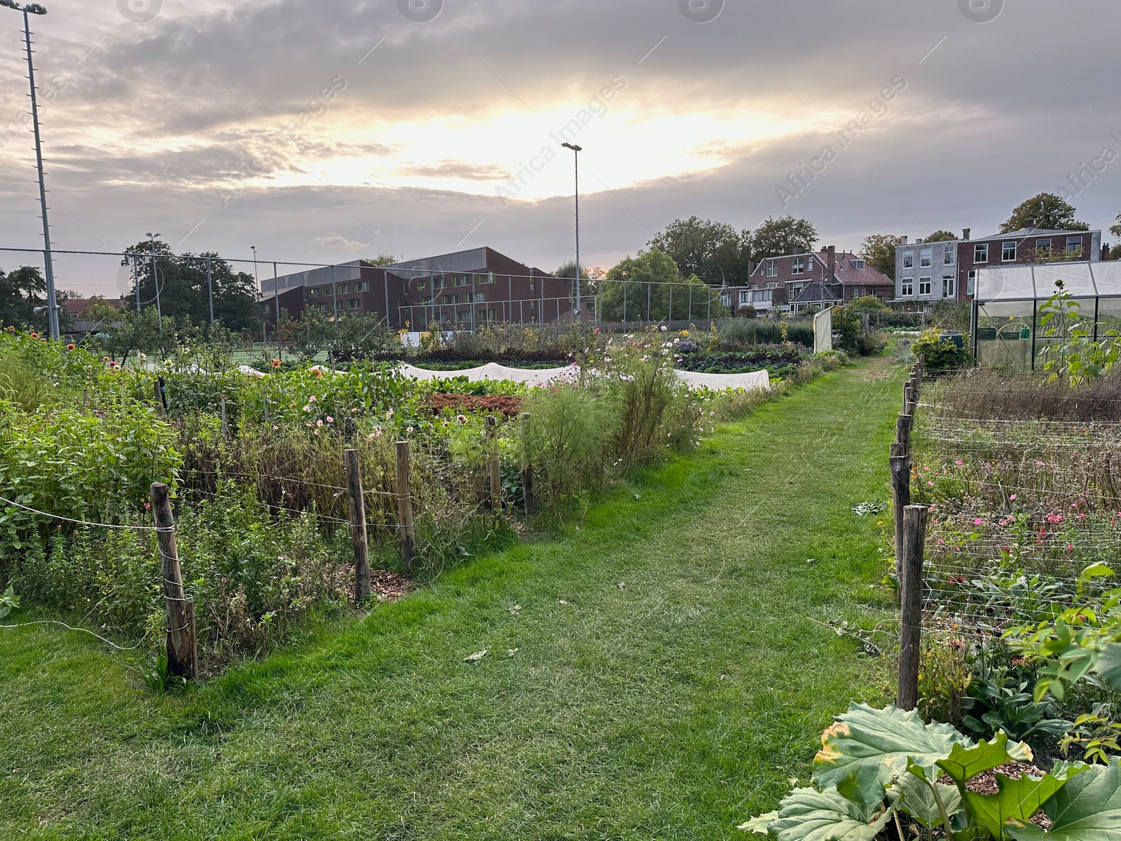 Photo of Beautiful farm with different plants and grass